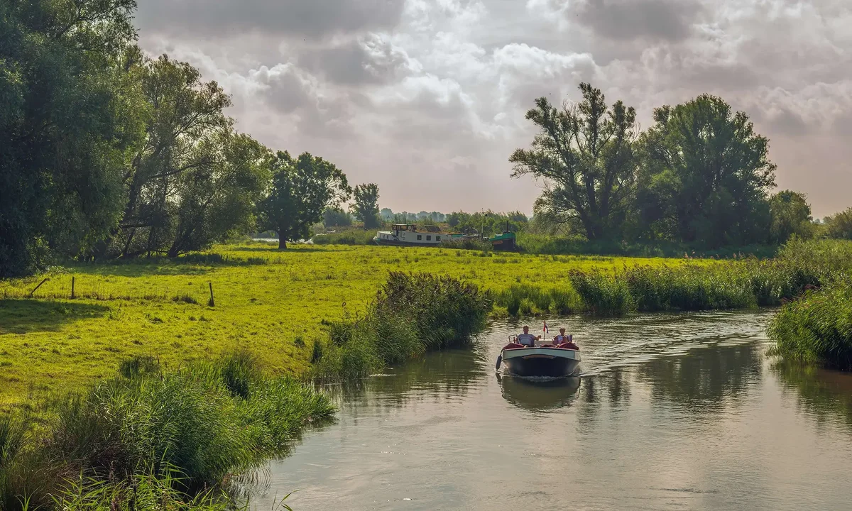 Recreatie in de Biesbosch: Natuur op korte afstand van je woning